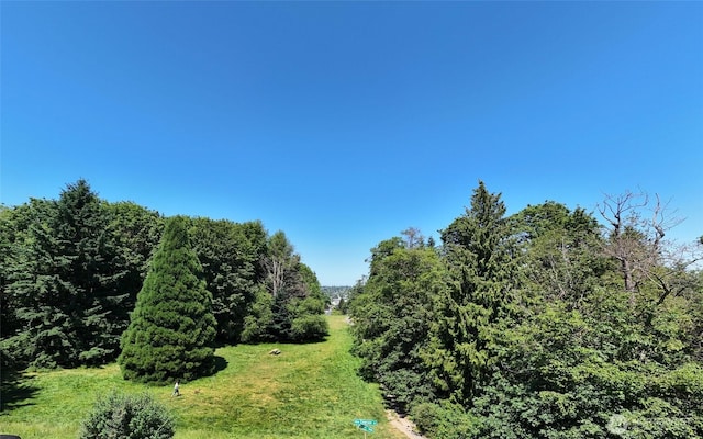 3722 27th Pl W Unit 301, Seattle, WA 98199 - view of yard