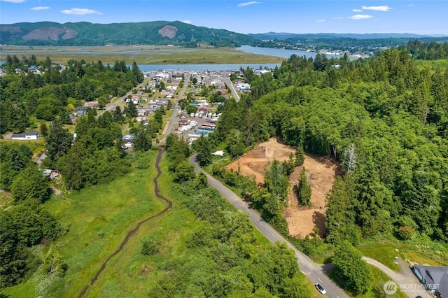 0X Willapa Ave, South Bend, WA 98586 - photo 1