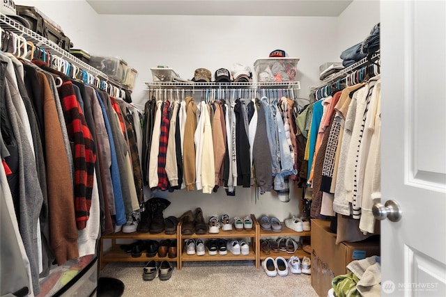 902 Van Ogle Ln NW, Orting, WA 98360 - spacious closet with carpet