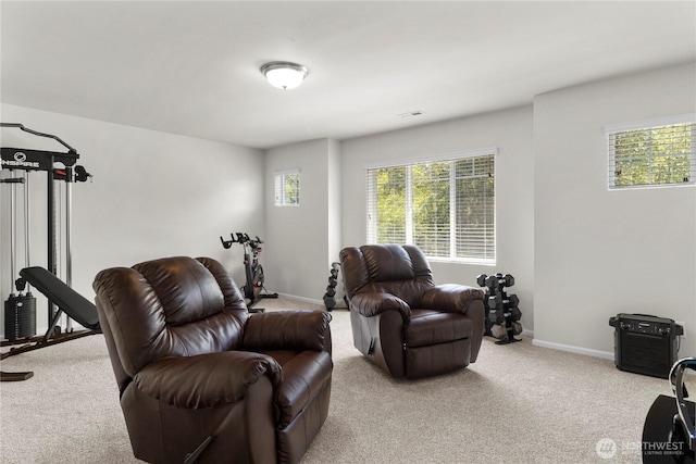 902 Van Ogle Ln NW, Orting, WA 98360 - living area with carpet floors
