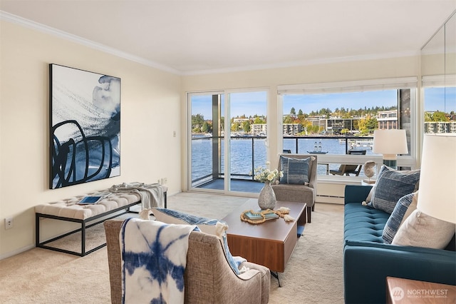 515 Lake St S Unit 205, Kirkland, WA 98033 - carpeted living area featuring crown molding, a water view, and a baseboard heating unit