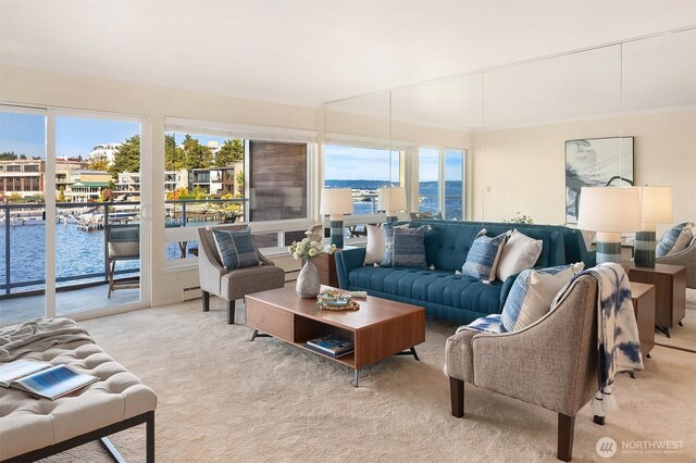 515 Lake St S Unit 205, Kirkland, WA 98033 - living room with carpet flooring and a water view
