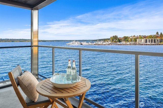 515 Lake St S Unit 205, Kirkland, WA 98033 - balcony with a water view