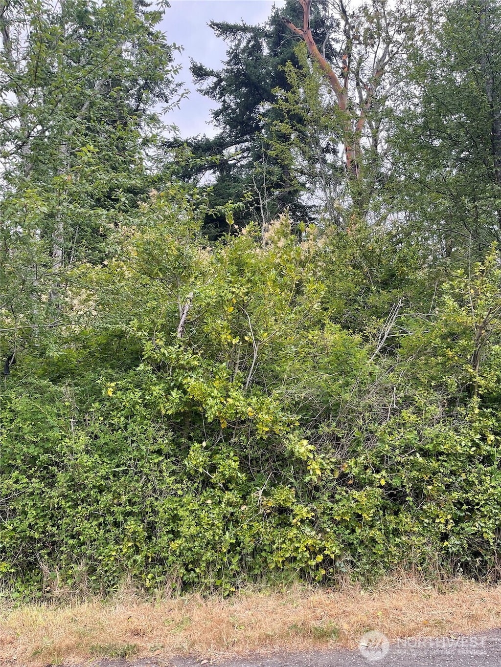 999 Reed St, Port Townsend, WA 98368