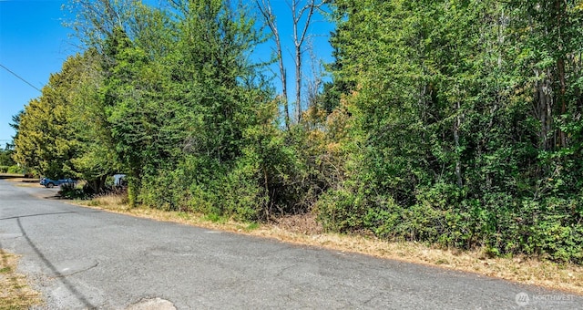 999 Reed St, Port Townsend, WA 98368 - photo 2
