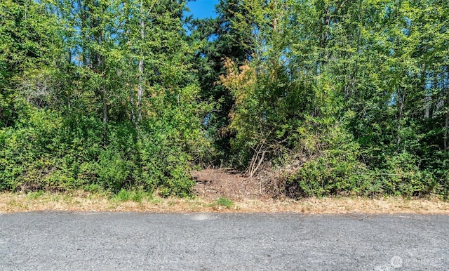 999 Reed St, Port Townsend, WA 98368 - photo 4