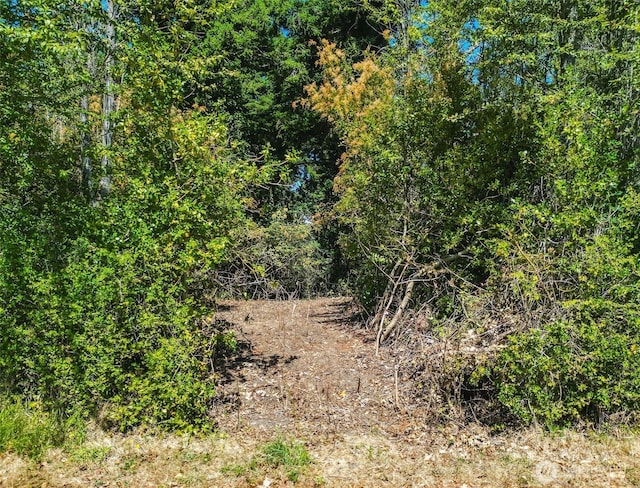 999 Reed St, Port Townsend, WA 98368 - photo 5
