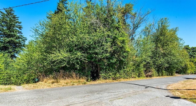 999 Reed St, Port Townsend, WA 98368 - photo 6
