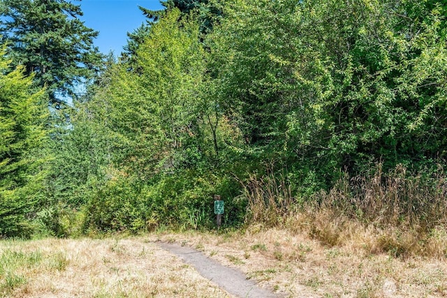 999 Reed St, Port Townsend, WA 98368 - photo 9