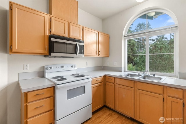 6317 Barstow Ln SE Unit 8, Lacey, WA 98513 - kitchen with white electric range oven, stainless steel microwave, light countertops, and light wood-style flooring