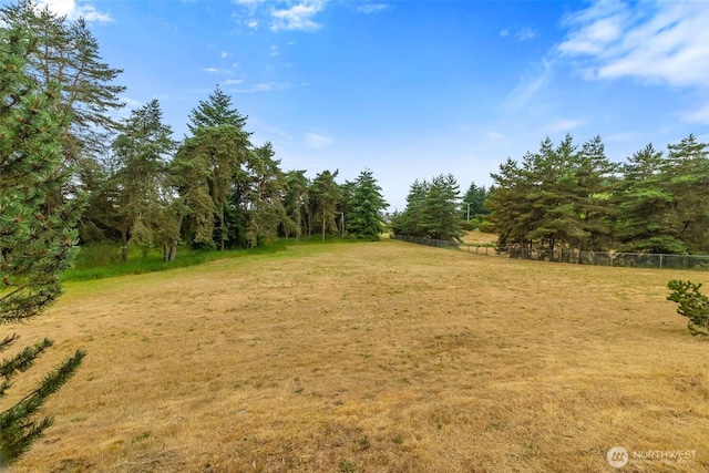 6317 Barstow Ln SE Unit 8, Lacey, WA 98513 - view of yard