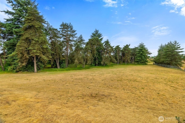 6317 Barstow Ln SE Unit 8, Lacey, WA 98513 - view of undeveloped land