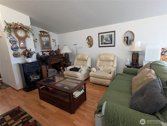 1200 Lincoln St Unit 154, Bellingham, WA 98229 - living room with light wood-style flooring and lofted ceiling