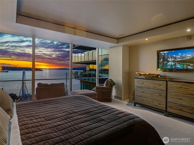 99 Union St Unit 1102, Seattle, WA 98101 - photo 5