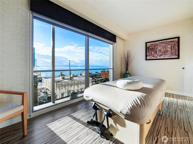 99 Union St Unit 1102, Seattle, WA 98101 - photo 28
