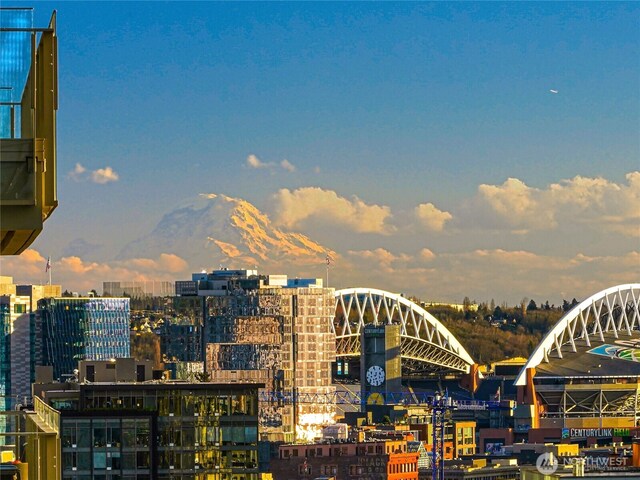 99 Union St Unit 1102, Seattle, WA 98101 - photo 33