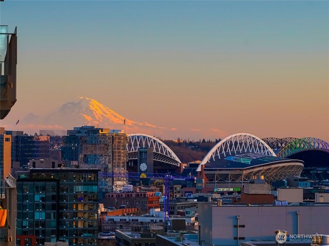 99 Union St Unit 1102, Seattle, WA 98101 - photo 34