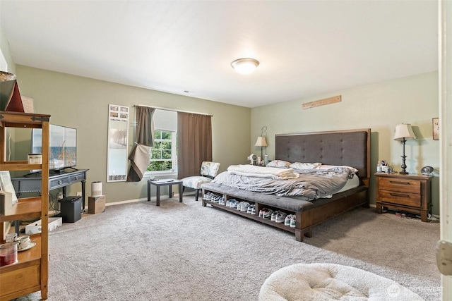6725 159th St E, Puyallup, WA 98375 - bedroom with carpet flooring