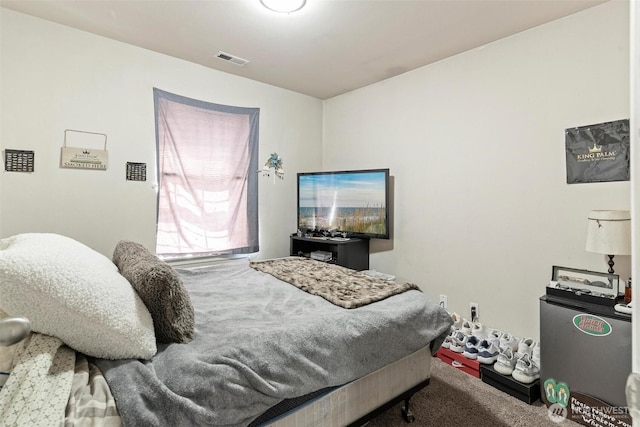 6725 159th St E, Puyallup, WA 98375 - view of carpeted bedroom