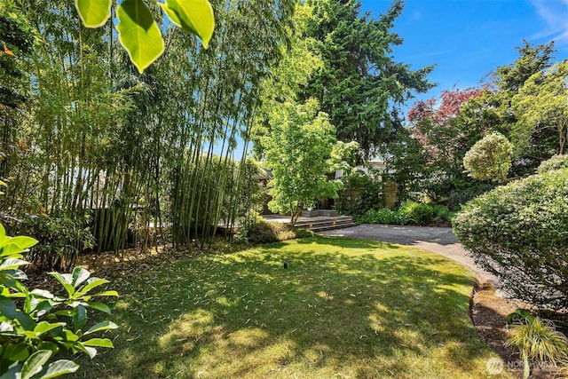 12266 Shorewood Dr SW, Burien, WA 98146 - photo 29