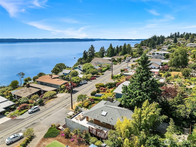 12266 Shorewood Dr SW, Burien, WA 98146 - photo 38