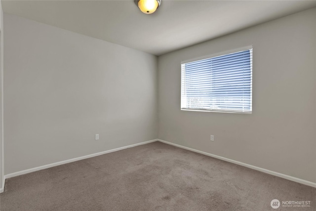 2117 197th Street Ct E, Spanaway, WA 98387 - carpeted empty room with baseboards