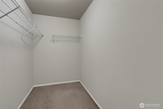 2117 197th Street Ct E, Spanaway, WA 98387 - walk in closet with carpet flooring