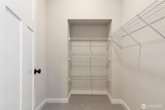 157 26th Ave, Seattle, WA 98122 - spacious closet featuring carpet flooring