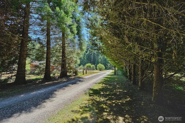 3573 Haynie Rd, Blaine, WA 98230 - photo 2