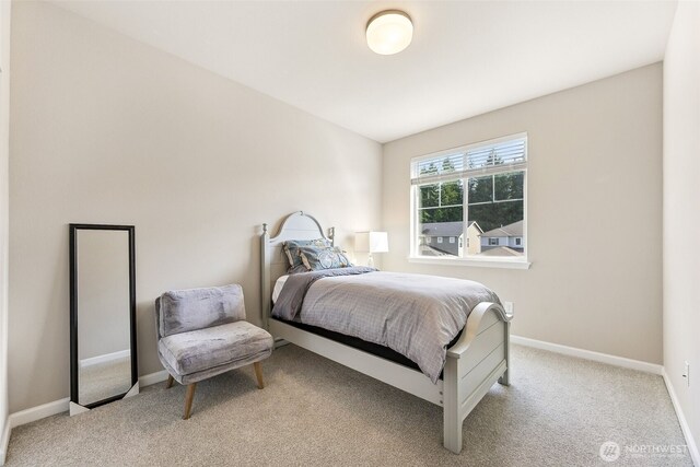 12911 Emerald Ridge Blvd E, Puyallup, WA 98374 - photo 21