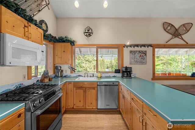 2290 Riffle Dr, Leavenworth, WA 98826 - kitchen featuring stainless steel appliances, a peninsula, light wood-style floors, and light countertops