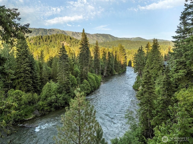 2290 Riffle Dr, Leavenworth, WA 98826 - water view with a forest and a mountain backdrop