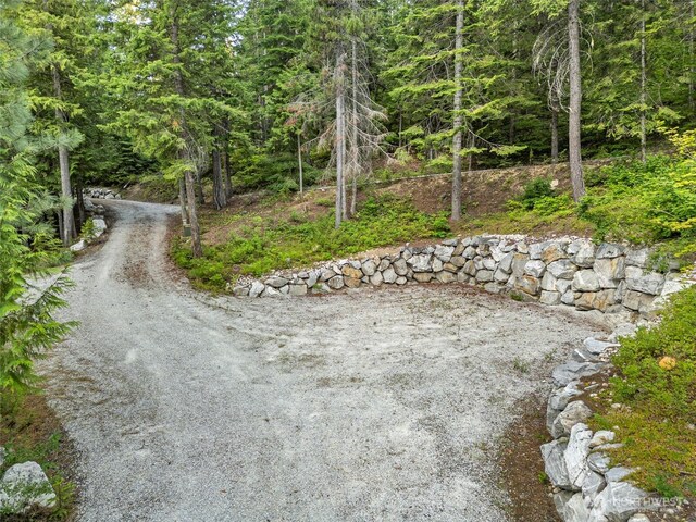 2290 Riffle Dr, Leavenworth, WA 98826 - view of street featuring a view of trees