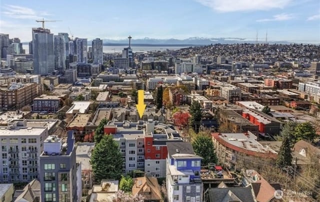 232 Belmont Ave E Unit 503, Seattle, WA 98102 - view of city