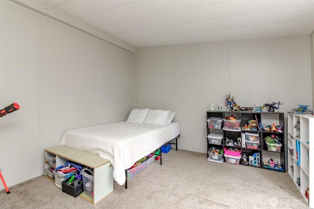 3010 248th Street Ct E, Spanaway, WA 98387 - view of carpeted bedroom