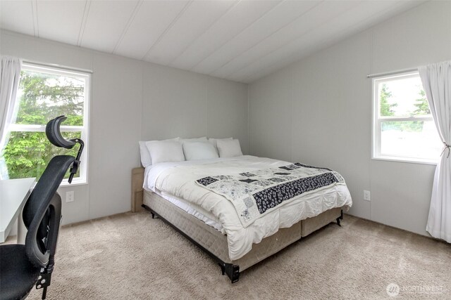3010 248th Street Ct E, Spanaway, WA 98387 - bedroom featuring light colored carpet and lofted ceiling