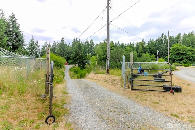 3010 248th Street Ct E, Spanaway, WA 98387 - view of street with a gate