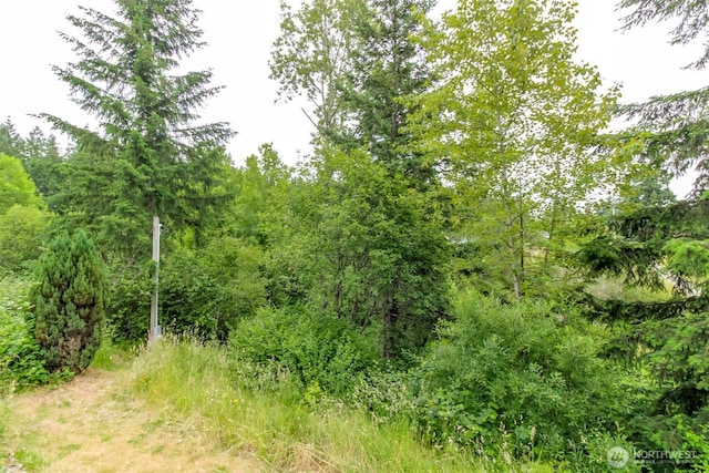 3010 248th Street Ct E, Spanaway, WA 98387 - view of tree filled area