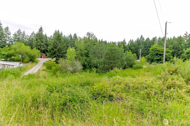 3010 248th Street Ct E, Spanaway, WA 98387 - view of nature