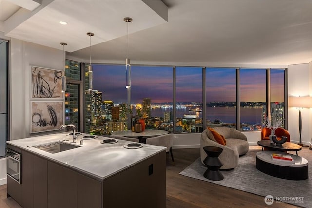 2510 6th Ave Unit 1704, Seattle, WA 98121 - kitchen with wood finished floors, an island with sink, stainless steel oven, a water view, and pendant lighting