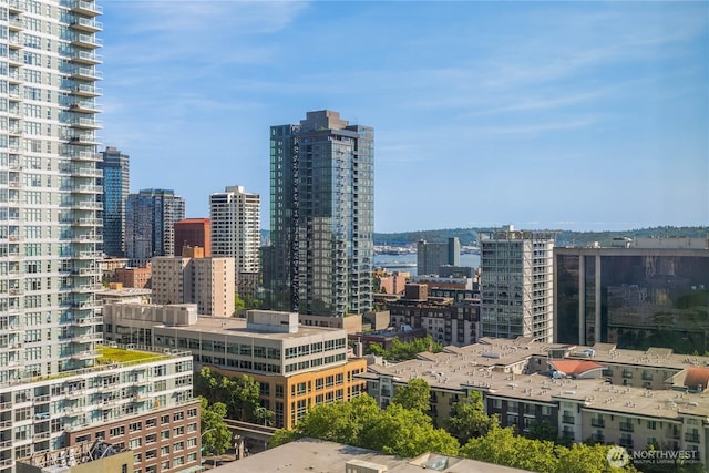 2510 6th Ave Unit 1704, Seattle, WA 98121 - view of city skyline