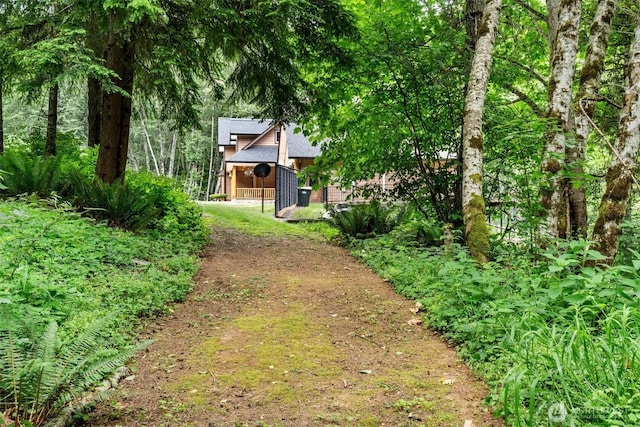 143 Scenic Ln, Mossyrock, WA 98564 - view of yard