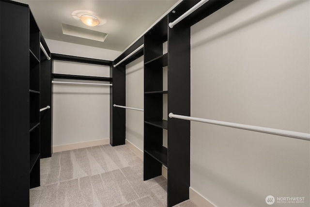 10637 128th Ave NE, Kirkland, WA 98033 - walk in closet featuring carpet floors