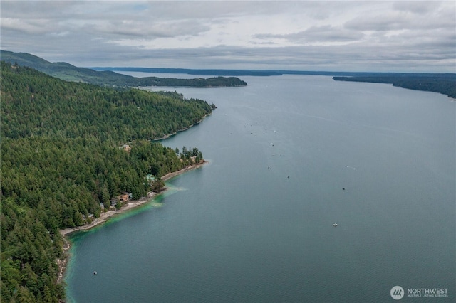 0 N US Highway 101, Brinnon, WA 98320