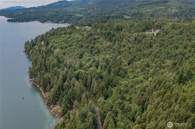 0 N US Highway 101, Brinnon, WA 98320