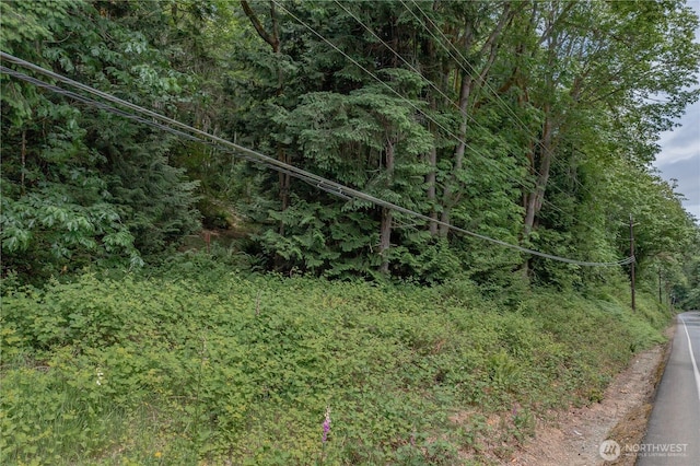 0 N US Highway 101, Brinnon, WA 98320