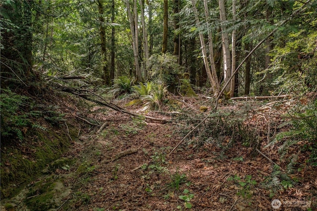 0 N US Highway 101, Brinnon, WA 98320