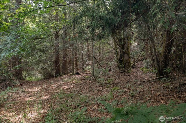 0 N US Highway 101, Brinnon, WA 98320
