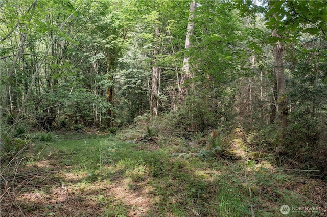 0 N US Highway 101, Brinnon, WA 98320
