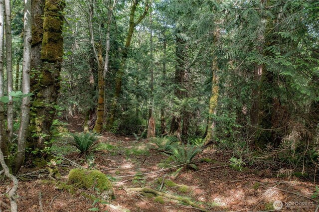 0 N US Highway 101, Brinnon, WA 98320
